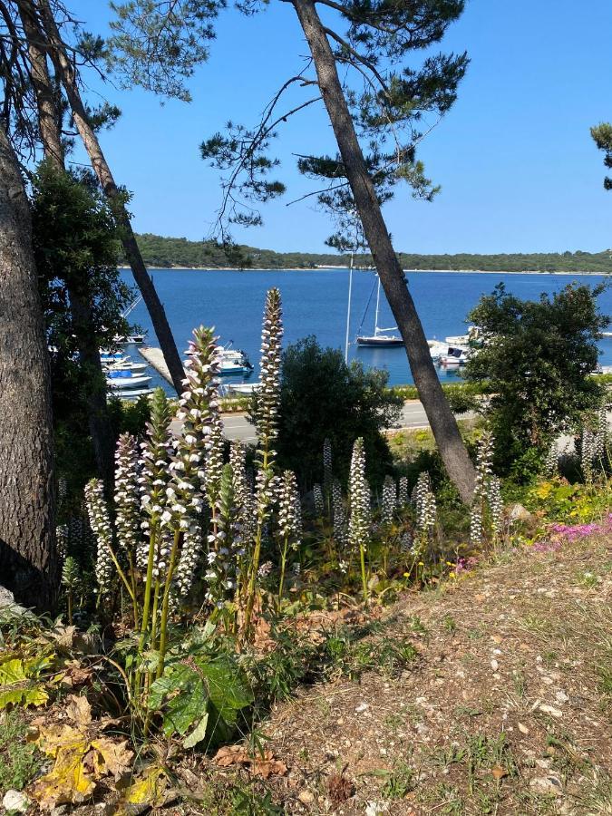 Apartments Tasha Mali Lošinj Екстериор снимка